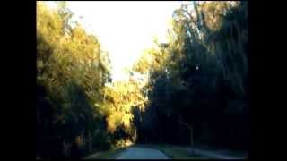 preview picture of video 'Late Afternoon Drive Through Garden District Fish Hawk Ranch | MikeBogartRealtor'