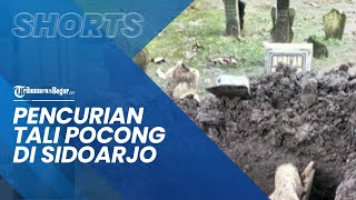 Heboh Pencurian Tali Pocong di Sidoarjo, Tali Pocong Orang Meninggal Jumat Legi Untuk Kesaktian