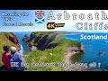 Arbroath cliffs | A Must-Visit Beach in the UK | UK වල ලස්සනම beach එකට යමුද?  💙🏴