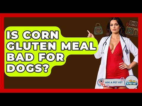 Is Corn Gluten Meal Bad For Dogs? - Ask A Pet Vet