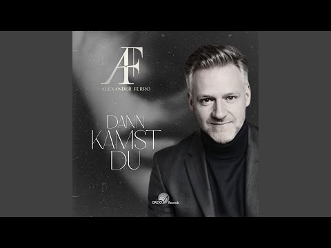 Dann kamst Du (Radio Edit)