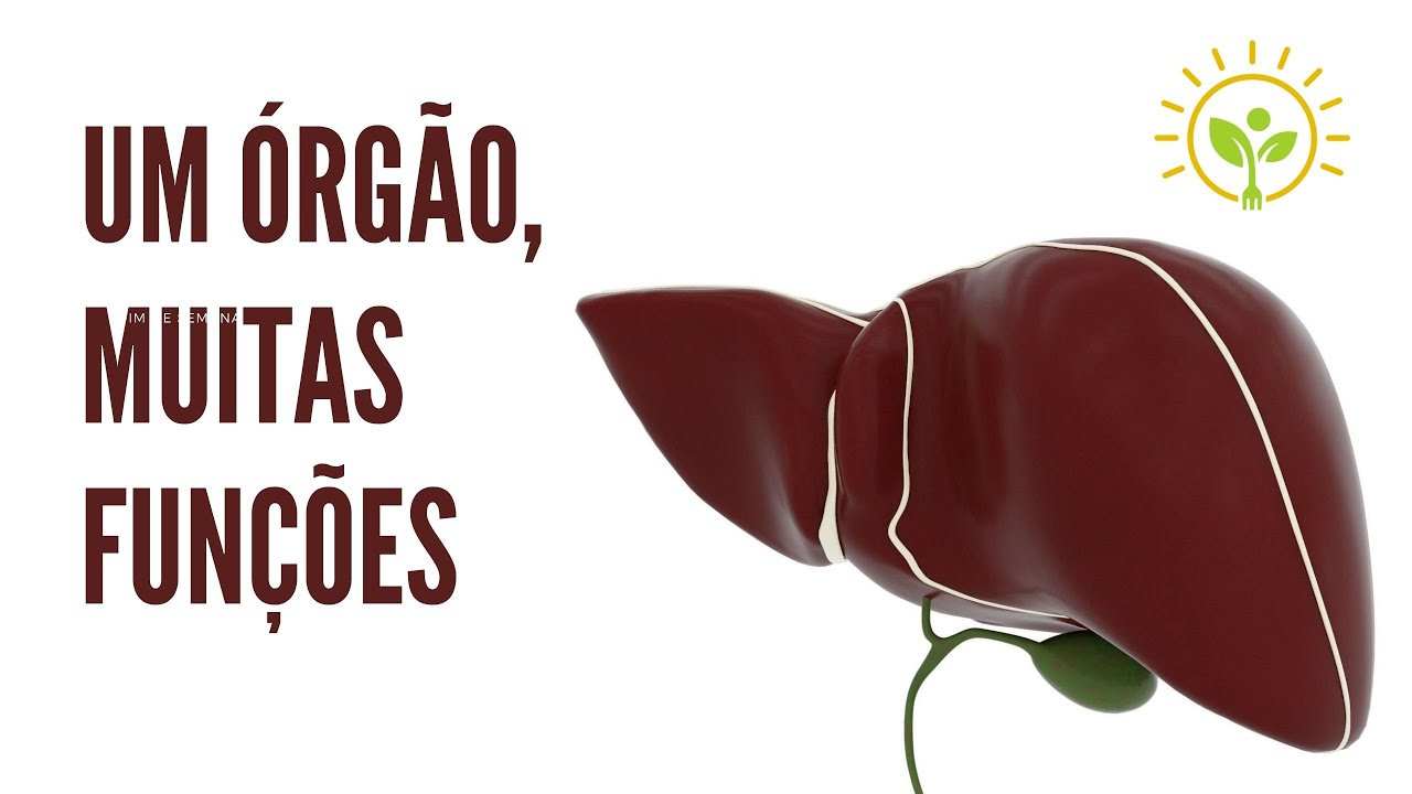 Por que o fígado é tão importante? | APRENDA NUTRIÇÃO