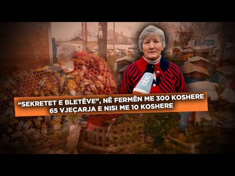 “Sekretet e bletëve”, në fermën me 300 koshere, 65-vjeçarja Tenxile Jazxhi e nisi me 10 koshere