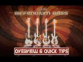 Video 3: RIFFENDIUM BASS - Short Overview and Quick tips