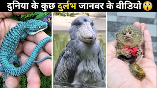 Unseen Animals Amazing Facts #shorts Facts Cloud by Akash Parihar