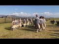 Lesotho Women Initiation School Music