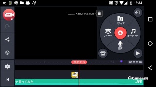 無音、ゲームするか編集するか