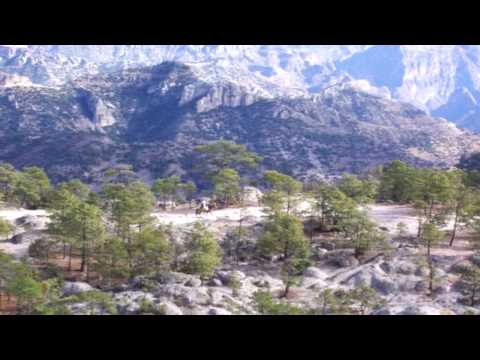 Der Trailer zum Sommer-Blockbuster: "Backpacking-einmal quer durch Mexico"