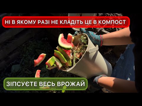 Компост своїми руками. Що можна і не можна кидати у компостну купу