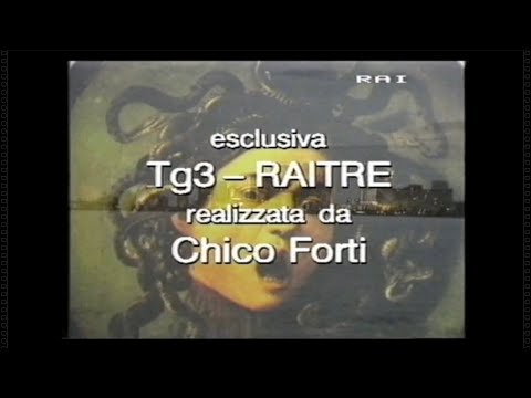 Chico Forti - Il sorriso della medusa (English version)