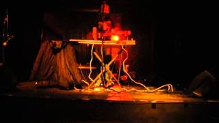 Michael Stasis - Brown Cow