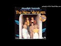 The New Ventures -  Moonlight Serenade  1976