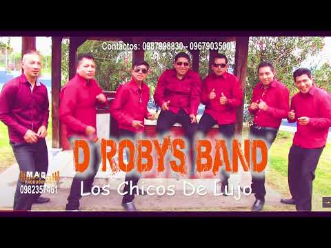 D ROBYS BAND - ESCRITO ESTA POR EL DESTINO (Audio Oficial)