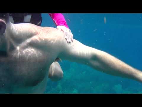 Kids Snorkeling at Christ of the Abyss, Key Largo P 2