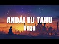 UNGU ANDAI KU TAHU LIRIK VIDEO