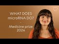What Does MicroRNA Do One Minute Crash Course 2024 Nobel Prize In Physiology Or Medicine