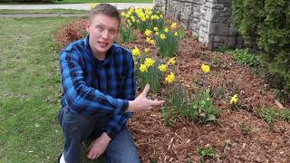 Mulching Flowerbeds in Springtime