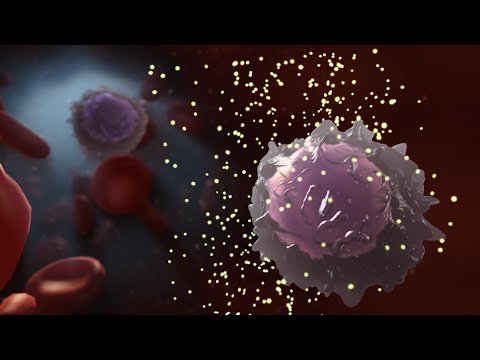 Medical Animation: HIV and AIDS