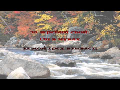 244 Когда я в духе созерцаю