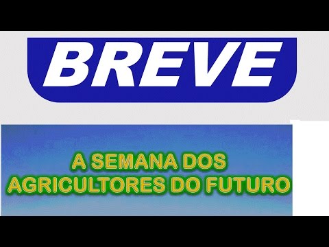 Jornal Breve edição do dia 03-07-2016