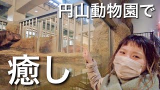 【平日デート】円山動物園で癒し！冬の動物園でほっこりしてきました【VLOG】