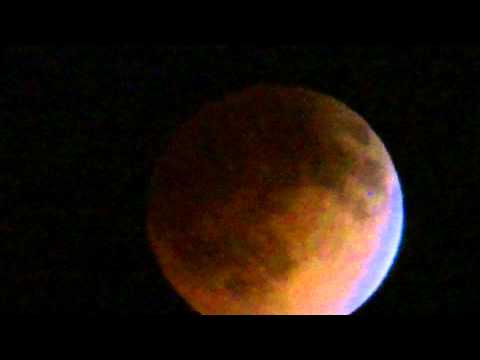 Under The Cherry Moon