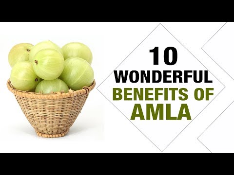 , title : '10 Wonderful Benefits of Amla - Nidhi Mohan Kamal - Diet Talk'