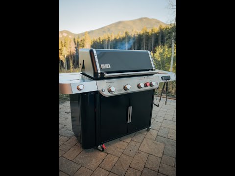 WEBER Genesis EPX