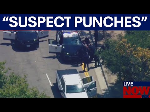 Video | LAPD chase: suspect punches officers after pursuit