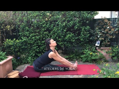 Cours série 2 / flexions avant