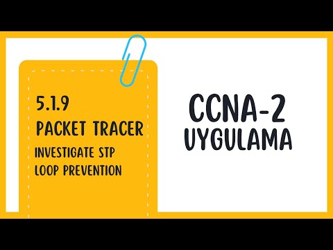 5.1.9 Packet Tracer - Investigate STP Loop Prevention