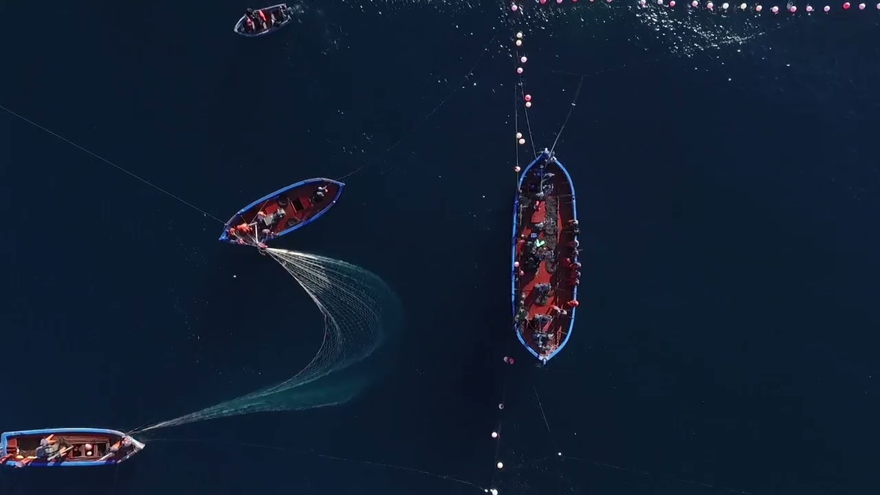 Vista aérea de Cádiz con drones — vídeo de referencia del cliente