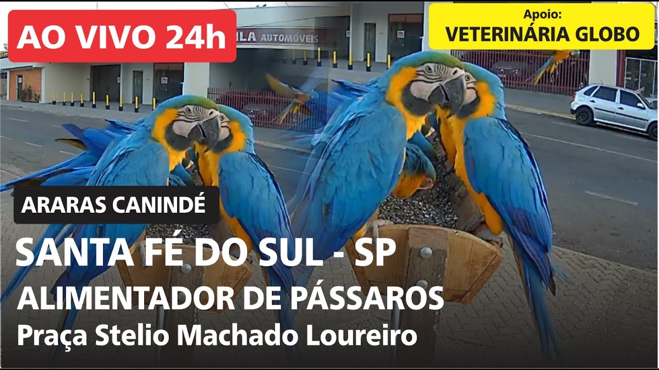 Live webcam view of Comedero de Aves, Plaza Stélio Loureiro