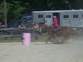 Eryn And Julia Fox And Hound