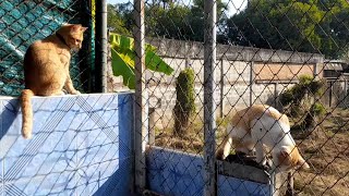 Download lagu Come and admire the cuteness of Som Chun and Mae Nuan, a mother-daughter duo who are best friends... mp3 Download lagu Come and admire the cuteness of Som Chun and Mae Nuan, a mother-daughter duo who are best friends... mp3