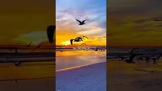 Download lagu Jamal al wujood //nasheed🎧//#yrics#nasheed mp3