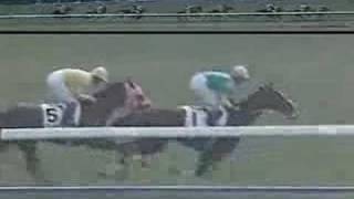 [史實] 異次元の逃亡者 サイレンススズカ介紹