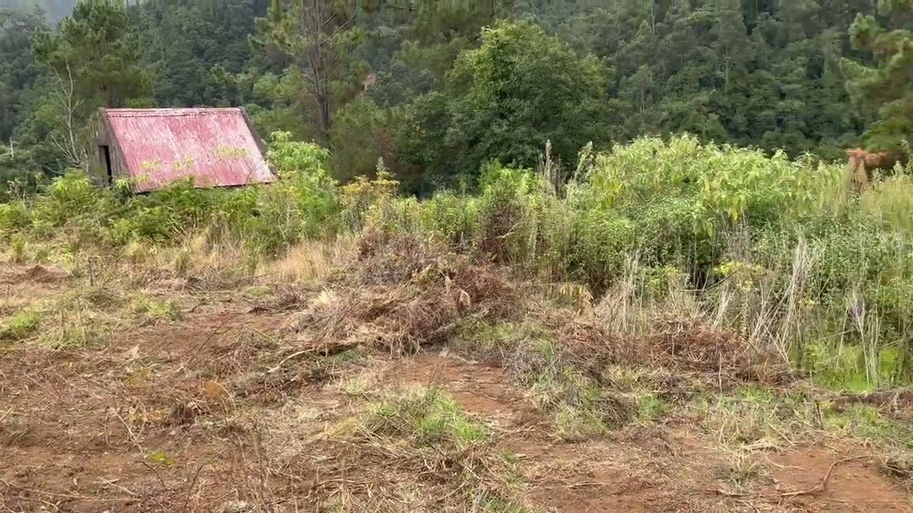 Vídeo do imóvel