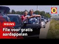 Chaos op de weg door aardappelen | Omroep Brabant