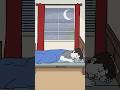 Peaceful Sleep Ambience