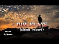 Tum Jo Aaye (Slowed + Reverb) | Rahat Fateh Ali Khan, Tulsi Kumar, Pritam Zesan Rahaman