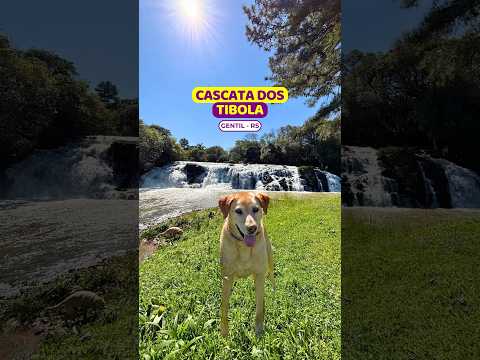 😱FÁCIL demais até para BEBÊ na #cascatadostibola #gentil