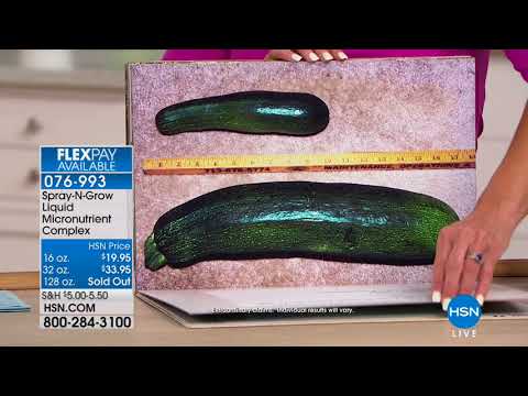 HSN | Lawn & Garden 06.08.2018 - 03 PM