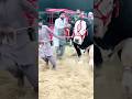 Black Qurbani Ka Janwar 2023 Pakistan Ka Masoor Dal Prison Sahiwal Cross Brahman