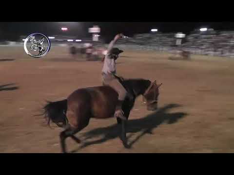 Diamante 2026 - Final Categ. Clina - 54º Festival Nacional de Jineteada y Folklore