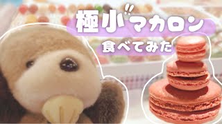 【リシャール】極小マカロンを食べる【食レポ】
