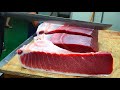 Tuna Master Breaks Down a 250kg Giant Bluefin Tuna with Unbelievable Knife Skills!