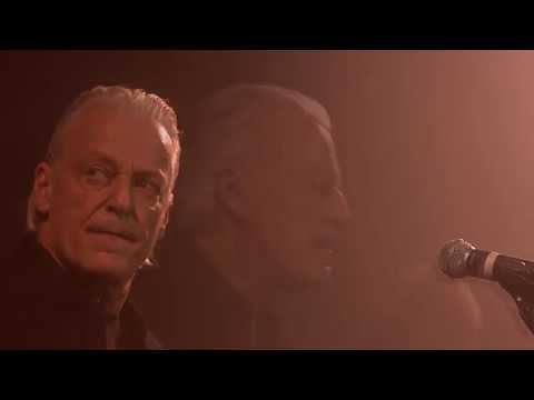 Harry Marte - LADY D'ARBANVILLE - Cat Stevens Cover - Krebshilfe Benefizkonzert - MADE IN UK 2017