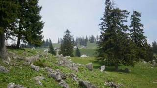 preview picture of video 'MALA PLANINA - family hikings in Slovenia'