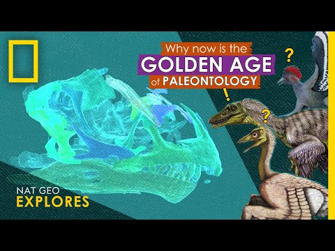 為什麼現在是古生物學的黃金時代？ (Why Now is the Golden Age of Paleontology | Nat Geo Explores)